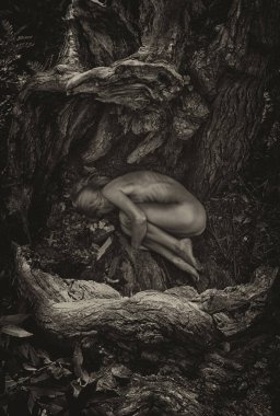 Kadın ağaç kökleri arasında cenin pozisyonunda, doğa ve yeniden doğuşu sembolize ediyor..