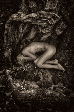 Kadın ağaç kökleri arasında cenin pozisyonunda, doğa ve yeniden doğuşu sembolize ediyor..