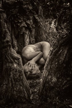 Kadın ağaç kökleri arasında cenin pozisyonunda, doğa ve yeniden doğuşu sembolize ediyor..