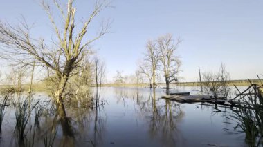 Çıplak ağaçlar ve ahşap rıhtımlarla dolu sular altında bir arazi..