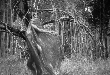 Peçeli kadın bir ağacın yanında duruyor..