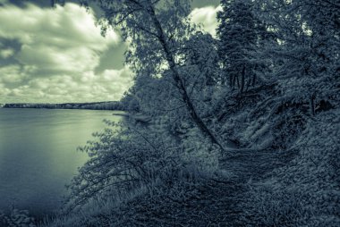 Ağaçlar, nehir, gökyüzü ve gölgelerle kızıl ötesi orman manzarası