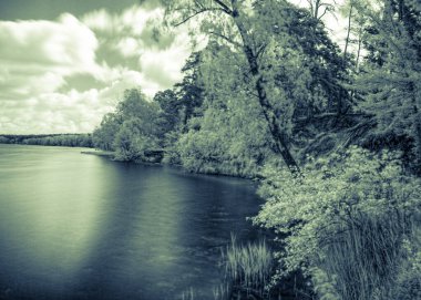 Ağaçlar, nehir, gökyüzü ve gölgelerle kızıl ötesi orman manzarası