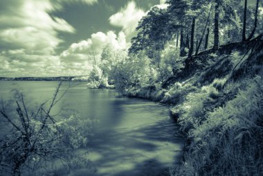 Ağaçlar, nehir, gökyüzü ve gölgelerle kızıl ötesi orman manzarası