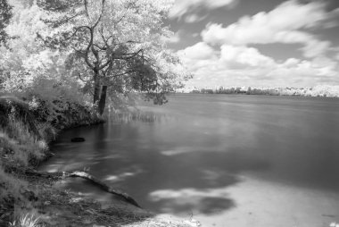 Ağaçlar, nehir, gökyüzü ve gölgelerle kızıl ötesi orman manzarası