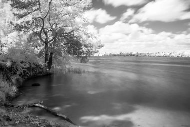 Ağaçlar, nehir, gökyüzü ve gölgelerle kızıl ötesi orman manzarası