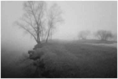 Yoğun sisle kaplanmış bir şehir manzarası.