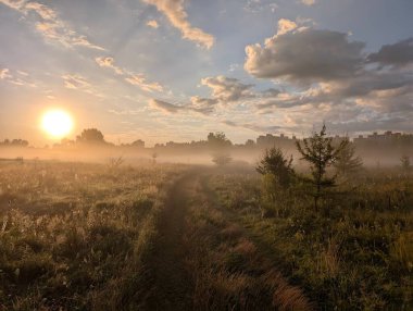 Altın sabah sisi, gündoğumunda kır çiçeklerini ahenkle kucaklıyor..