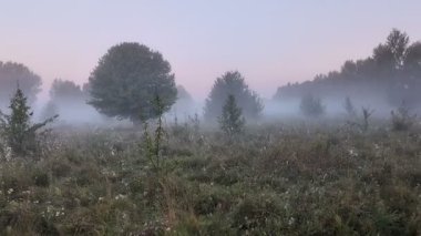 Siluet, güneşin doğuşunu sarıp sarmalıyor..