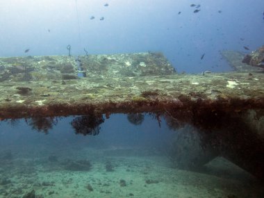 Tri-Bird uçak enkazı Boracay Adası Filipinleri
