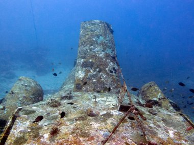 Tri-Bird uçak enkazı Boracay Adası Filipinleri