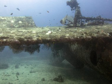 Tri-Bird uçak enkazı Boracay Adası Filipinleri