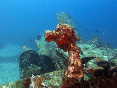 Tri-Bird uçak enkazı Boracay Adası Filipinleri