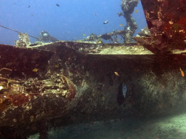 Tri-Bird uçak enkazı Boracay Adası Filipinleri