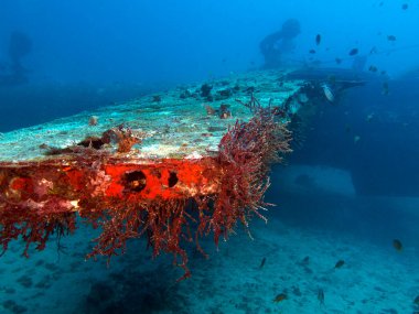 Tri-Bird uçak enkazı Boracay Adası Filipinleri