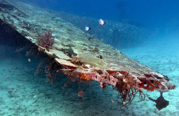 Tri-Bird uçak enkazı Boracay Adası Filipinleri