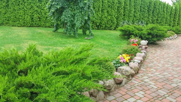 庭のデザイン 緑豊かな植生の中で観賞用の庭のタイル道 — ストック写真