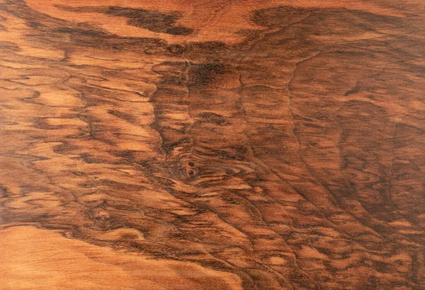 Jasne Kontrastujące Naturalne Drewno Orzechowe Tło Skomplikowanej Fakturze — Zdjęcie stockowe