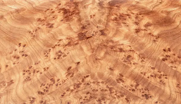 Streszczenie Barwnego Drewnianego Tła Korzenia Topoli Pokrytego Olejem Lnianym — Zdjęcie stockowe