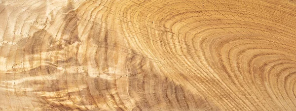 Jasne Drewniane Abstrakcyjne Tło Płyty Dębowej — Zdjęcie stockowe