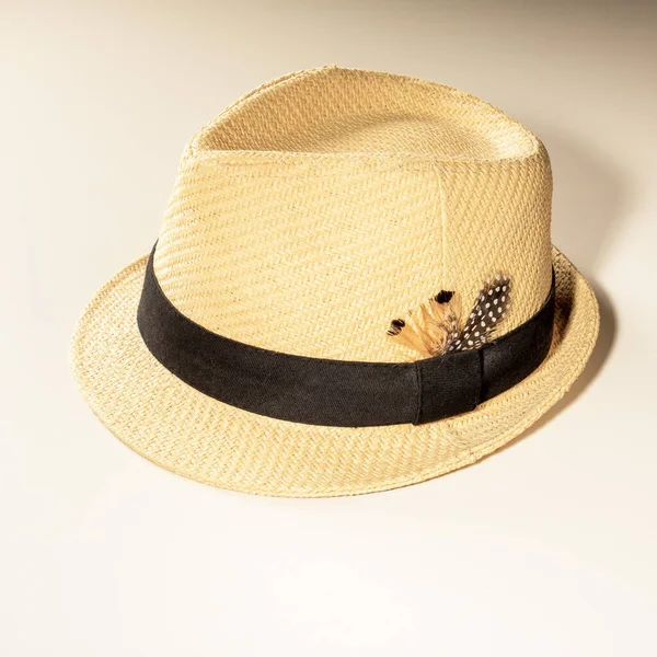 배경을 모자와 휴일용 가벼운 짚으로 — 스톡 사진