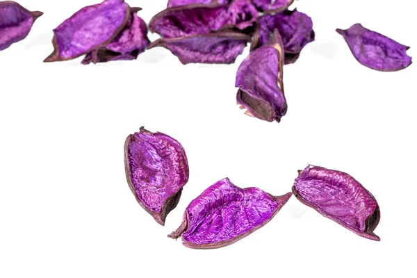 stock image Dry petals of lavender flowers on a white background close-up.