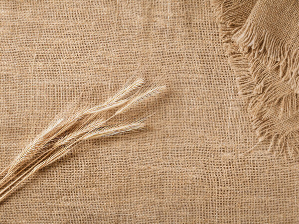 Close-up of a rustic background with barley ears on a burlap napkin, creating a natural and organic feel. There is space for text or other elements in the composition.