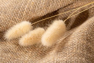 Çekici, kurutulmuş çiçek sapları, arka planda bir çuval bezi oluşturarak rahat ve kırsal bir atmosfer yaratıyor. Ev dekorasyonu ve el işi projeleri için mükemmel. Bu görüntü doğal güzellik ve sıcaklık yayıyor..