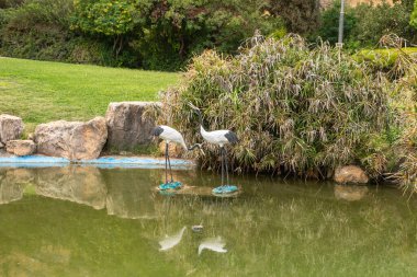 Beit Shean, İsrail, 08 Ekim 2022: İsrail 'in kuzeyindeki Ürdün Vadisi' ndeki Heftziba kibutz 'daki Japon bahçesindeki dekoratif gölet
