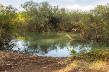 Mekorot HaYarkon 'daki Doğa: Gan Leumi Yarkon, İsrail' in merkezindeki Petah Tikva şehrinin yakınında yer alır.