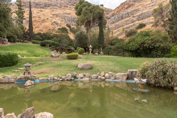 Beit Shean Izrael Října 2022 Japonská Zahrada Kibutz Heftziba Jordánském — Stock fotografie