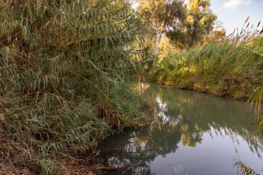 Mekorot HaYarkon 'daki Doğa: Gan Leumi Yarkon, İsrail' in merkezindeki Petah Tikva şehrinin yakınında yer alır.