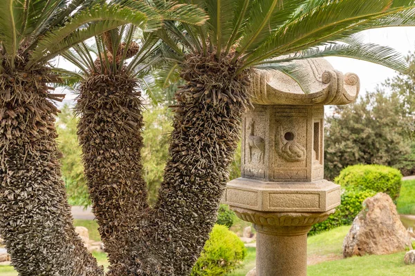 stock image Beit Shean, Israel, October 08, 2022 : The Japanese Garden in kibutz Heftziba, in the Jordanian valley,the north of Israel