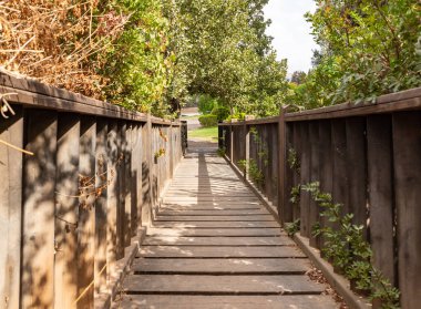 Beit Shean, İsrail, 08 Ekim 2022: İsrail 'in kuzeyindeki Ürdün vadisinde, Heftziba kibutz' daki Japon bahçesindeki ahşap köprü