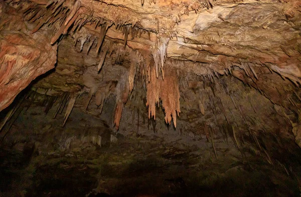 Esplendor Naturaleza Formas Extrañas Estalactitas Estalagmitas Cueva Salamandra Norte Israel — Foto de Stock