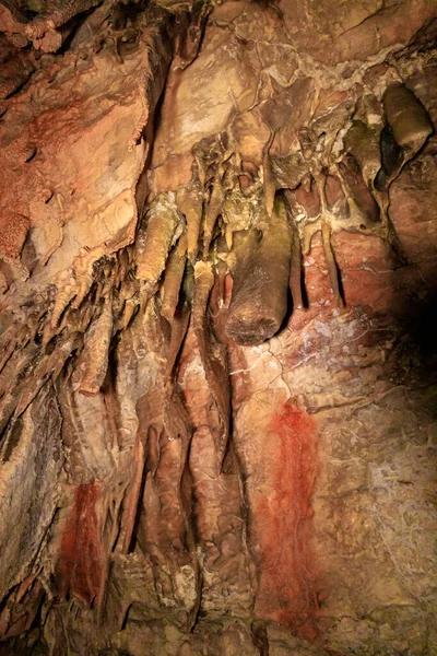 Splendeur Nature Formes Étranges Stalactites Stalagmites Dans Grotte Salamandre Dans — Photo