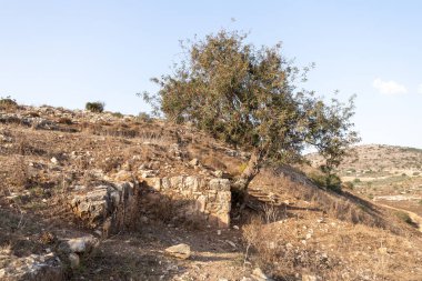 Antik Jotapata şehrindeki binaların kalıntıları, antik Roma İmparatorluğu döneminde, İsrail 'in kuzeyindeki Tel Yodfat Ulusal Parkı' nda yer alıyordu.