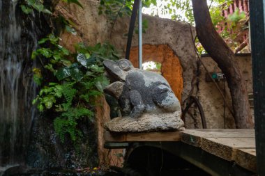 Nahariya, İsrail, 21 Ekim 2022: İsrail 'in Julis kentindeki Druze köyünde batan güneş ışınları altında, Almona Bahçeleri' ndeki bir dekoratif şelalenin arka planında bir kurbağa heykeli yer almaktadır.