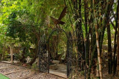 Nahariya, İsrail, 21 Ekim 2022: İsrail 'in Julis kentindeki Druze köyünde batan güneş ışınlarıyla Almona Bahçeleri koleksiyonunda sergilenen alt bahçe