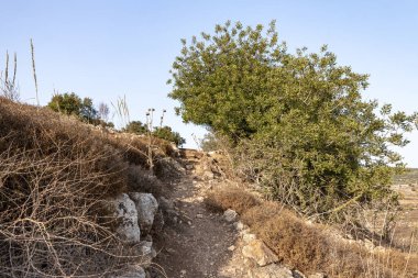 Antik Jotapata şehrinin içinden geçen yol, İsrail 'in kuzeyindeki Tel Yodfat Ulusal Parkı' ndaki antik Roma İmparatorluğu sırasında geçiyordu.