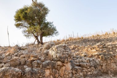 Karmiel, İsrail, 28 Ekim 2022: Antik Jotapata şehrinde demir harfler şeklinde İbranice dua, antik Roma İmparatorluğu döneminde İsrail 'in kuzeyindeki Tel Yodfat Milli Parkı' nda yer aldı.