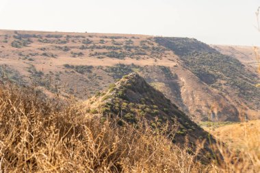 Yahudi şehri Gamla 'nın kalıntılarının bulunduğu tepe, Gamla Doğa Rezervi, Golan Tepeleri, Kuzey İsrail' de yer alan Roma İmparatorluğu sırasında yıkıldı.