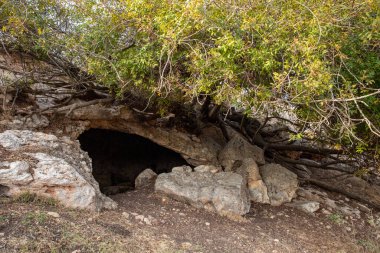 İlkel insanların yaşadığı mağara Tel Yodfat Ulusal Parkı, Kuzey İsrail