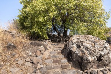 İsrail 'in kuzeyindeki Gamla Doğa Rezervi' nde yer alan Gamla şehrinin harabelerinde iyi korunmuş taş basamaklar ve oyuklar.