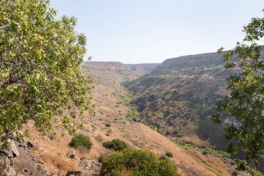 Gamla kentinin kalıntılarından Gamla Doğa Rezervi 'nin kuzey İsrail' deki Gamla Tepeleri 'nin yanındaki vadiye kadar görüntülenir.