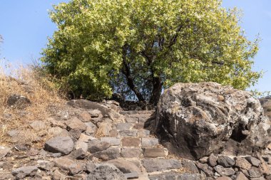 İsrail 'in kuzeyindeki Gamla Doğa Rezervi' nde yer alan Gamla şehrinin harabelerinde iyi korunmuş taş basamaklar ve oyuklar.