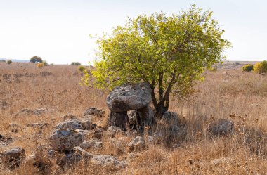 Megalithler kategorisine ait antik mezar ve tarikat yapısı - Gamla Doğa Rezervindeki büyük taşlardan yapılar, Golan Tepeleri, kuzey İsrail