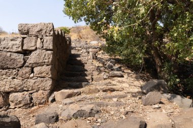 Gamla şehrinin kalıntıları, Golan Tepeleri, Kuzey İsrail 'de bulunan taş duvarlar ve binaların kalıntıları.