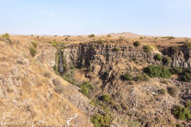 Gamla Gamla Nature Reserve, Golan Heights, Kuzey İsrail 'deki Gamla deresine düşer.