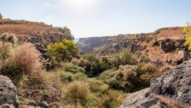 Gamla deresinin aktığı bir dağ geçidi Gamla Doğa Rezervi 'ndeki Dolmen Yolu, Golan Tepeleri, kuzey İsrail
